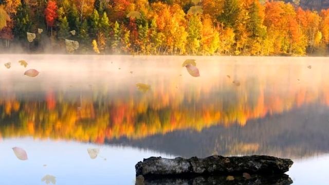 Осень.Листопад.Чайковский. Па-де-де "Щелкунчик" смотреть онлайн