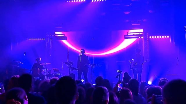 Дельфин в Космонавте (1)