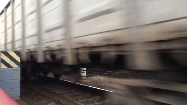 "Музыкальный Ленин" ВЛ11М-309Б с грузовым поездом на Ст.Сергиев Посад смотреть онлайн