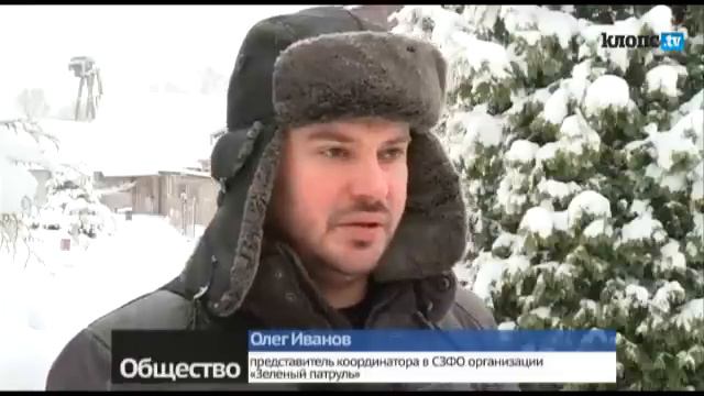 Вещество, похожее на нефть смотреть онлайн