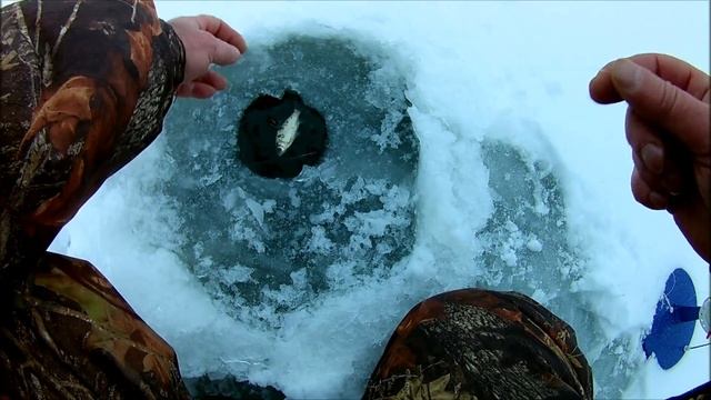 Зимняя рыбалка в Саратовской области. с. Елшанка. 2020 г. смотреть онлайн