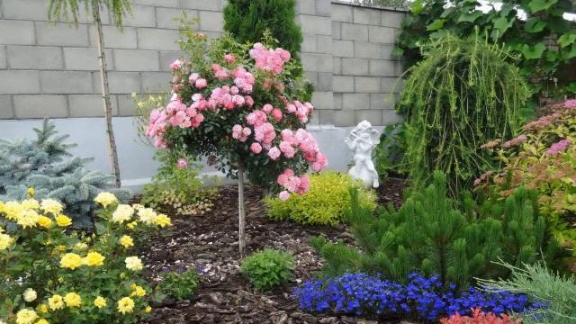 РОЗАРИЙ / СРЕДИ БЛАГОУХАЮЩИХ РОЗ / ДИЗАЙНЕРСКИЕ РАБОТЫ ИДЕИ / among the fragrant Roses ? смотреть онлайн