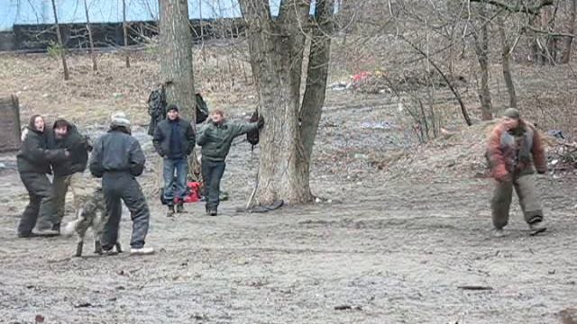 Атаман обман 3 смотреть онлайн