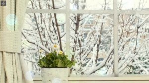 Олег Митяев "Благодать"