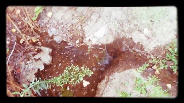 Круговорот воды в природе смотреть онлайн