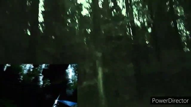 Почему японцев тянет в лес самоубийств Аокигахара смотреть онлайн