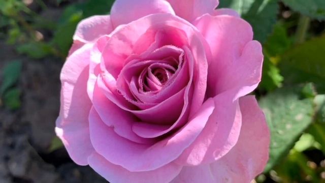 ТУГАН КОНЕН БЭЛЕН СИНЕ! ? С ДНЁМ РОЖДЕНИЯ ТЕБЯ! ? Красивая татарская песня с добрыми пожеланиями. смотреть онлайн