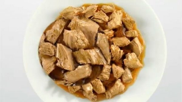 Clever Cats get FELIX