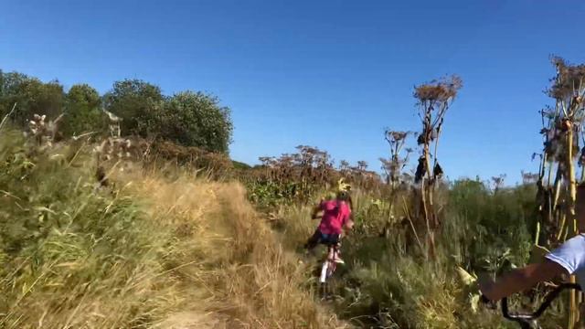 Где-то в России, старая заброшенная ферма😁 смотреть онлайн