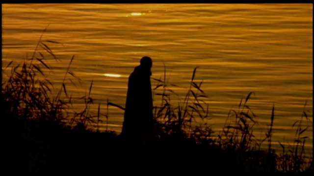 Леонид Агутин & Al Di Meola - Cuba Africa