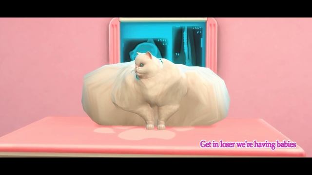 SIMS 4 STORY | PREGNANT WITH 100 KITTENS смотреть онлайн