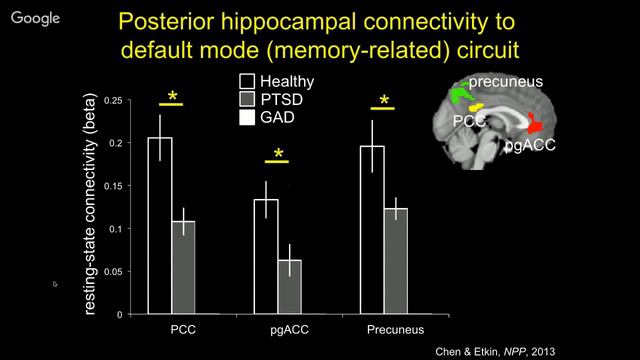 Neural Circuits as Substrates of Mental Illness - Amit Etkin (2016) смотреть онлайн