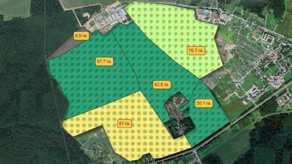 Карта сельхозугодий: как нарисовать в QGIS
