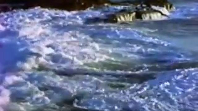 15. Кто их этому научил - Научный институт Муди