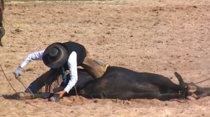 Первое русское родео 2014