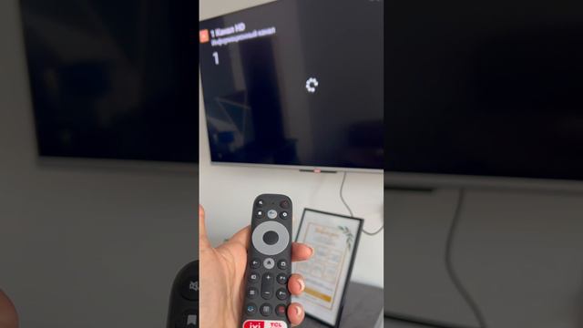 Телевизор Богатырский