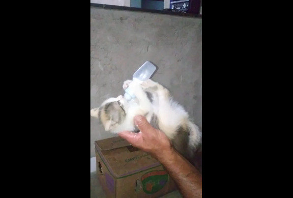 Время перекусить смотреть онлайн