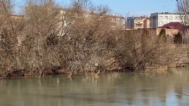 Дикие утки , Узбекистан. Средняя Азия смотреть онлайн