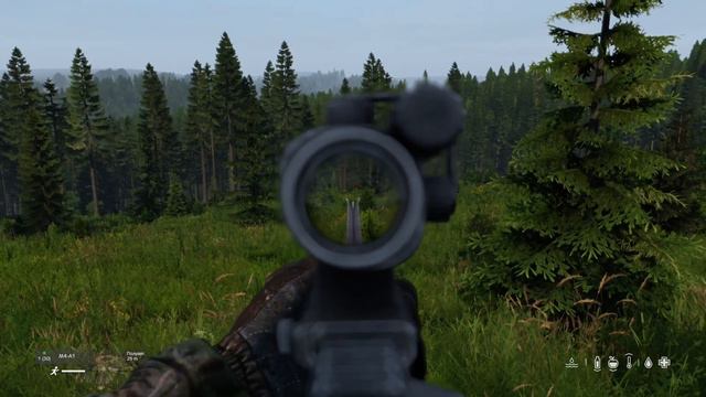 DayZ охота медведь смотреть онлайн