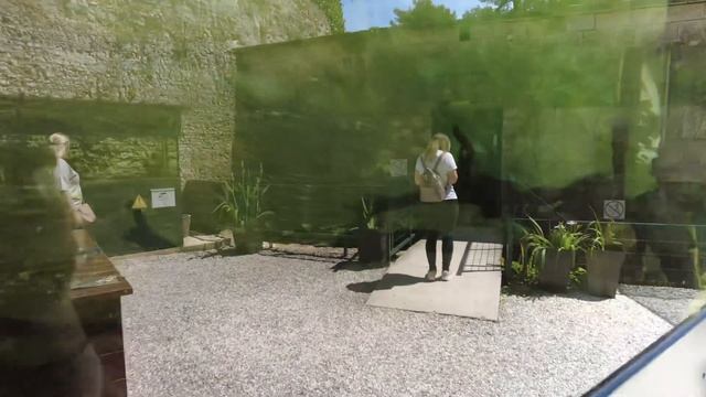 Поездка в самый большой аквариум в Хорватии смотреть онлайн