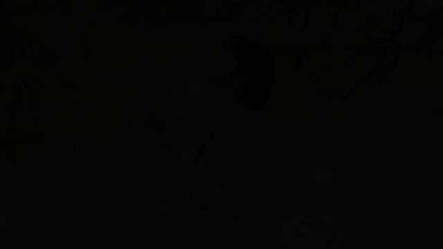 Yiruma - River Flows in You｜Lily Flute Cover & Piano Instrumental Backing смотреть онлайн