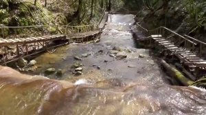 Экскурсия в самый оазис природы - урочище Джегош к водопадам, вековым дубам, увитых лианами.????