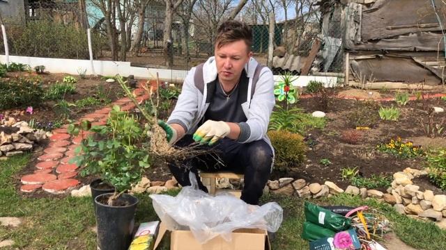 Интернет-магазин Подворье. Ужасные посылки с розами смотреть онлайн
