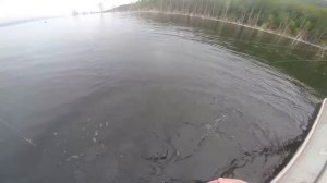 2016 июль богучаны рыбалка