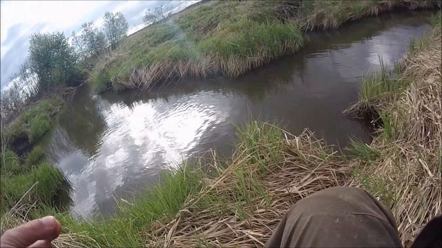 #Tanago #Microfishing первые пробы