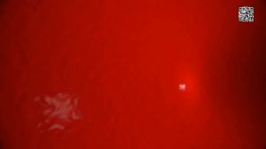 Природный пищевой цеолит - очищение, детоксикация и омоложение организма!