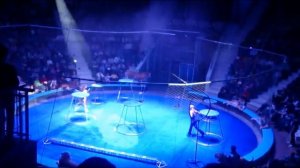 Шок! тигры кусаются!)_Цирк Багдасаровых в Туле!!)