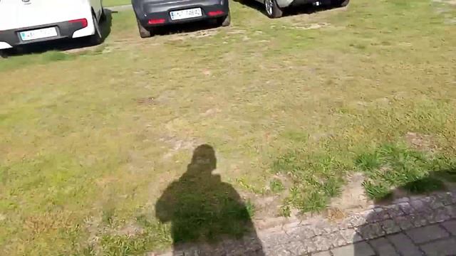 Цены на авто в Польше. смотреть онлайн