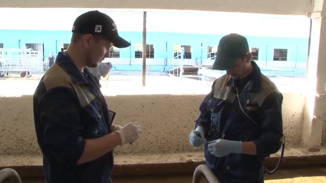 О создании Центров компетенций в ГК «Зеленая Долина» смотреть онлайн