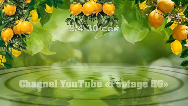 Лимон Footage | Background (4 х 30 сек.) 1080р