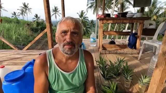 Как сажают сахарный тростник | Посадили папайи | Обрезали маранг | Жизнь с филиппинкой в деревне