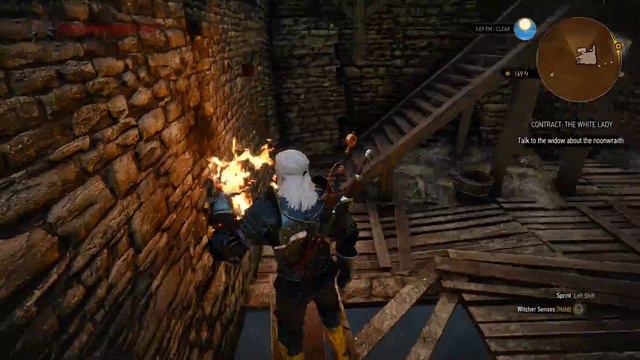 The Witcher 3 Wild Hunt Walkthrough Gameplay Part 80 - The Succubus смотреть онлайн
