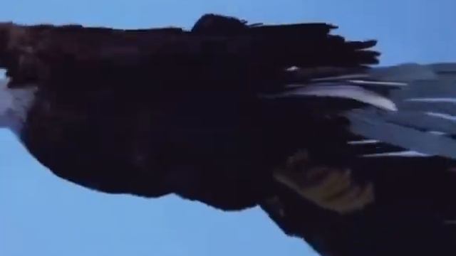 История умные слова