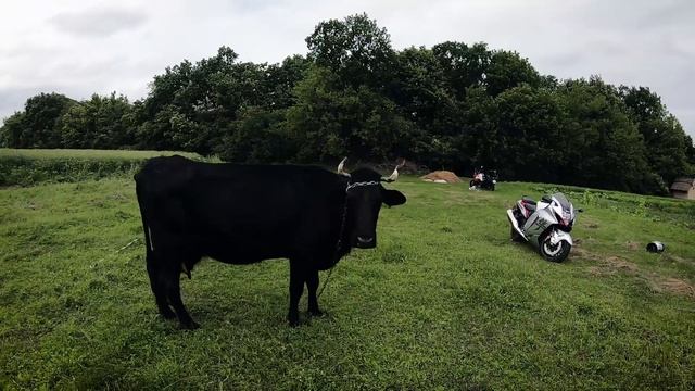 По дорозі з Геною Попенко| SUZUKI Hayabusa VS SUZUKI V-Strom 1050 XT. Trailer смотреть онлайн