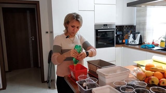 Как высадить семена томатов на рассаду. @galabum #дачный сезон 2023 смотреть онлайн