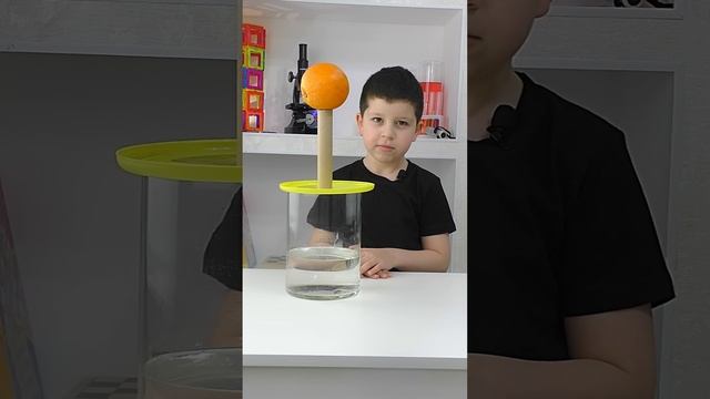 Как уронить апельсин в воду? #экспериментыдлядетей #наука_ая #опытысдетьми смотреть онлайн
