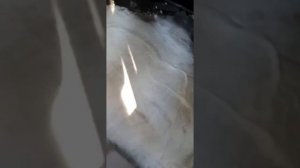 Как избавиться от постороннего запаха молока в машине