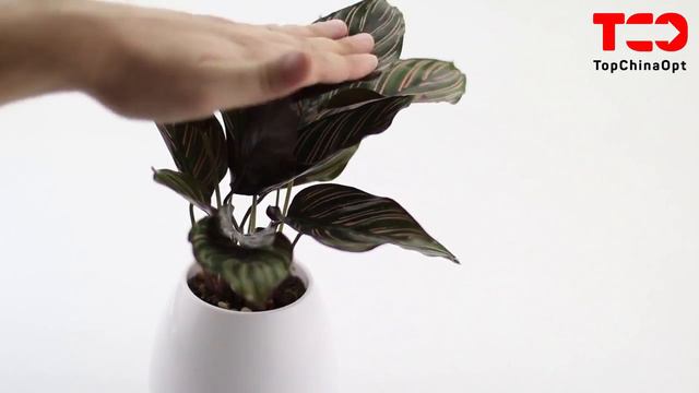 SMART Music Flowerpot Музыкальный цветочный горшок смотреть онлайн