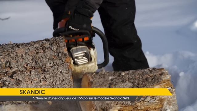 Modèles Ski-Doo Skandic et Tundra 2016 смотреть онлайн