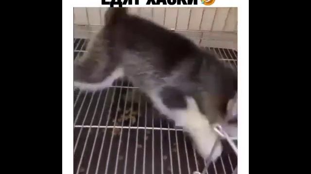 Приколы 9.mp4 смотреть онлайн