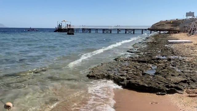 Sunrise Arabian полный обзор!