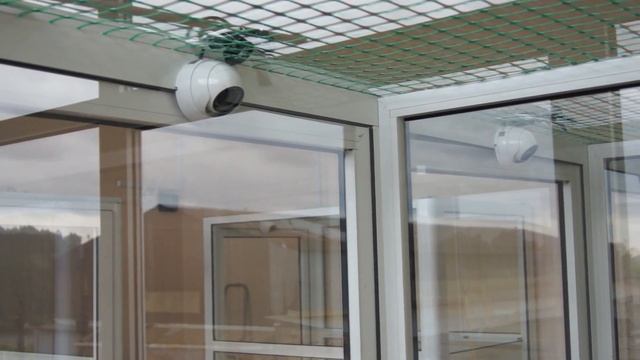 Catshotel96.com где установлены видеокамеры в номерах. смотреть онлайн