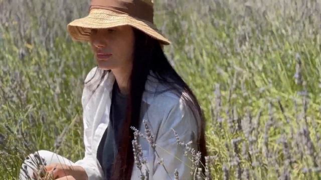 Сбор лаванды для производства натуральной косметики By @yanilina1737.Lavanta Bahçesi Aydında.