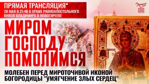 МИРОМ ГОСПОДУ ПОМОЛИМСЯ. МОЛЕБЕН У МИРОТОЧИВОЙ ИКОНЫ БОГОРОДИЦЫ «УМЯГЧЕНИЕ ЗЛЫХ СЕРДЕЦ»