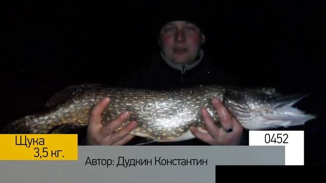 Фотоальбом - Рыбалка №90 смотреть онлайн