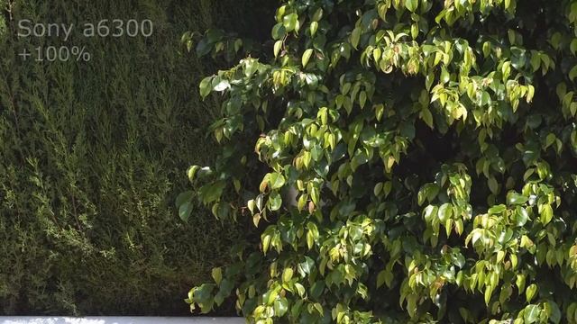 Test video Sony ax53 vs iPhone 6s vs Canon 80d vs Sony a6300 смотреть онлайн